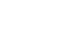 zimmerei weiss logo weiss